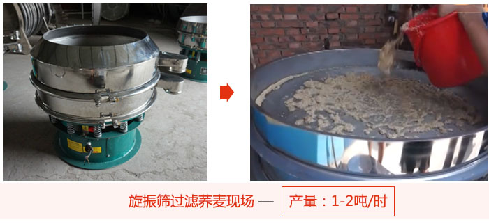旋振篩過濾蕎麥現場，產量可達2噸每小時。